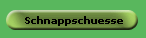 Schnappschuesse
